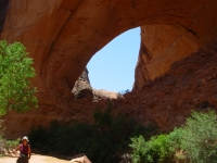 The First Arch